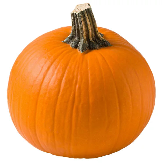 Orange Pumpkin Shopify Presell