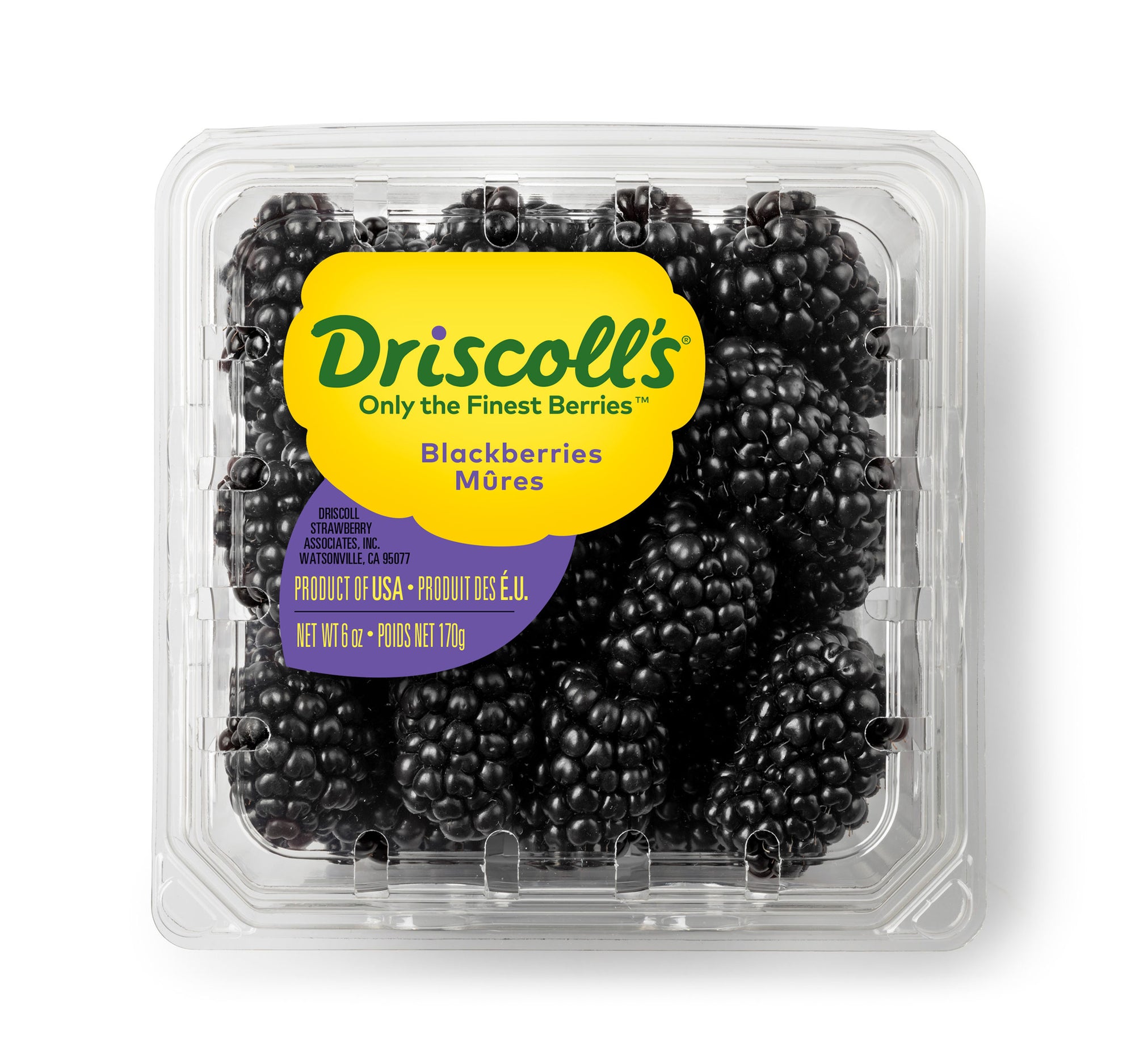 Driscoll's Blackberries 6oz