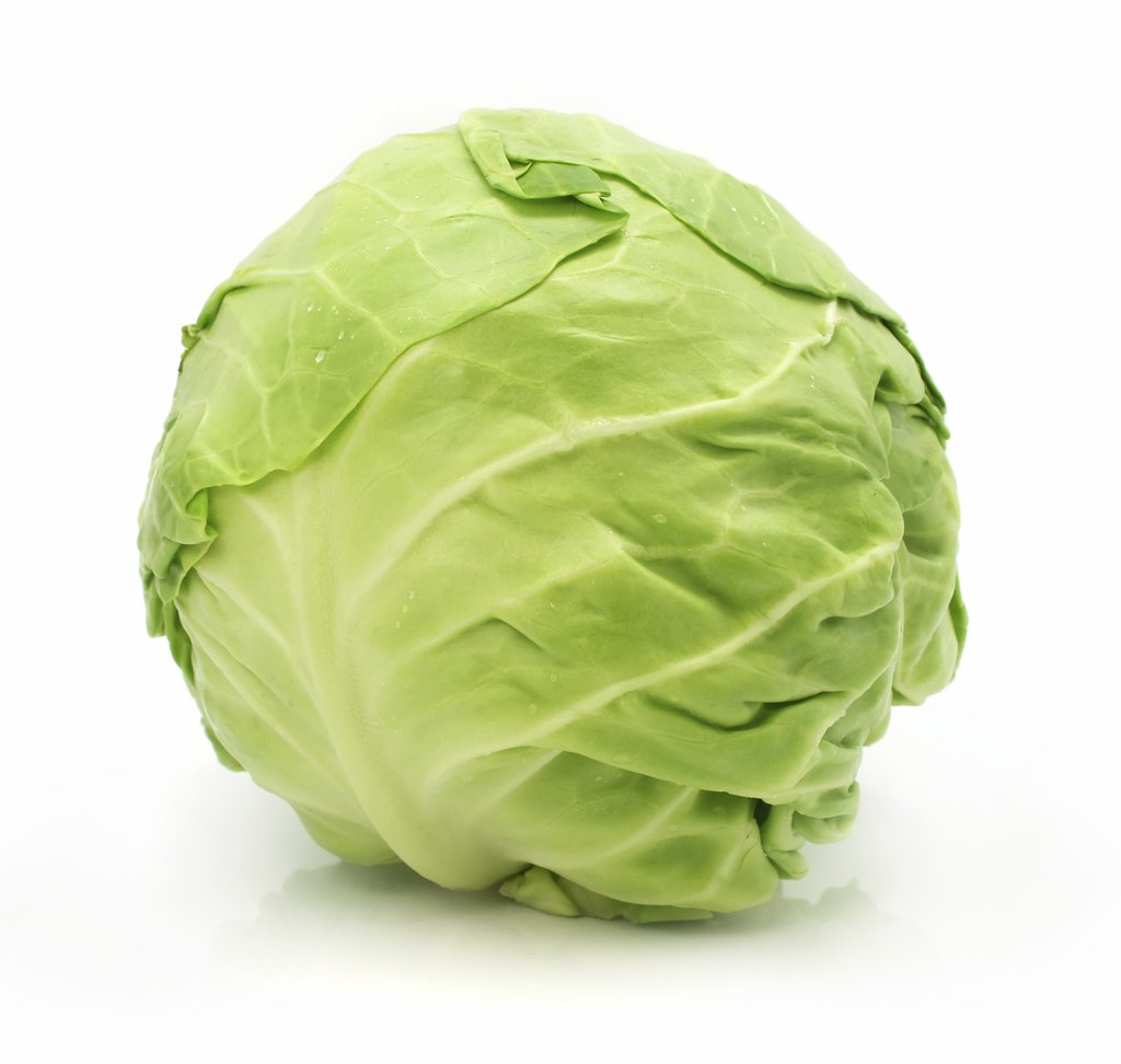 Cabbage Head