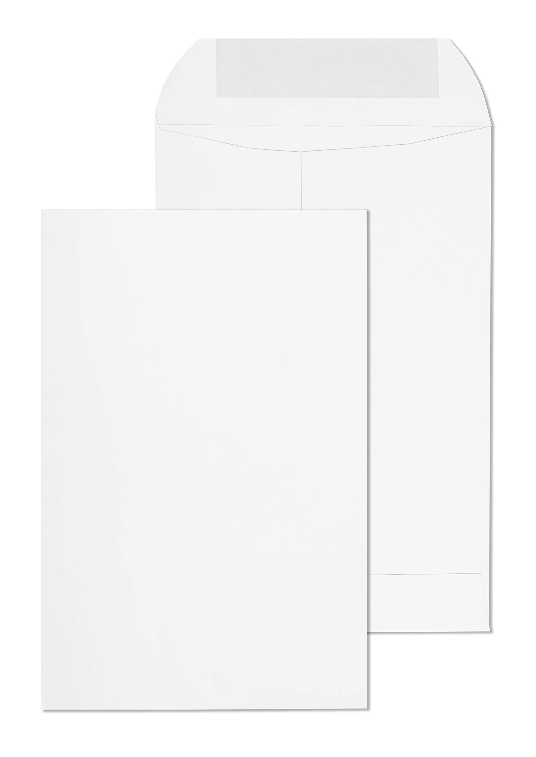 Easy Seal Envelopes 6"x9"