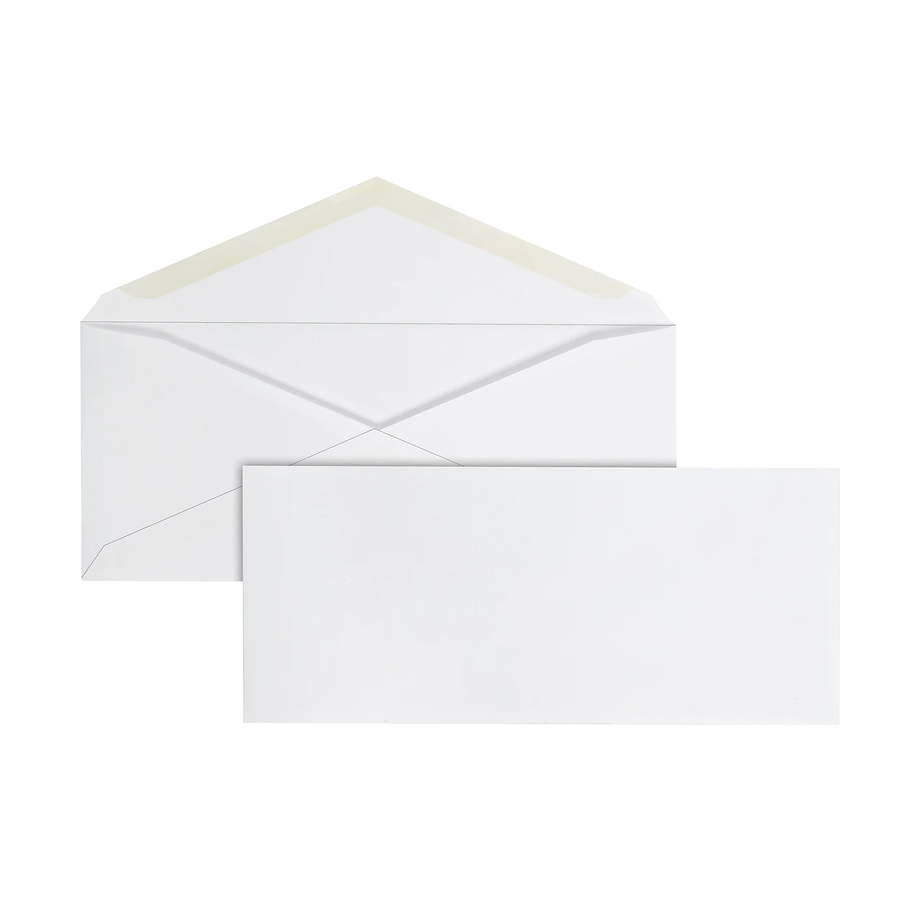 Top Flight Security Envelope #6