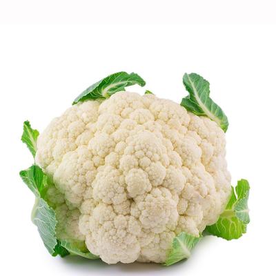 Cauliflower Head