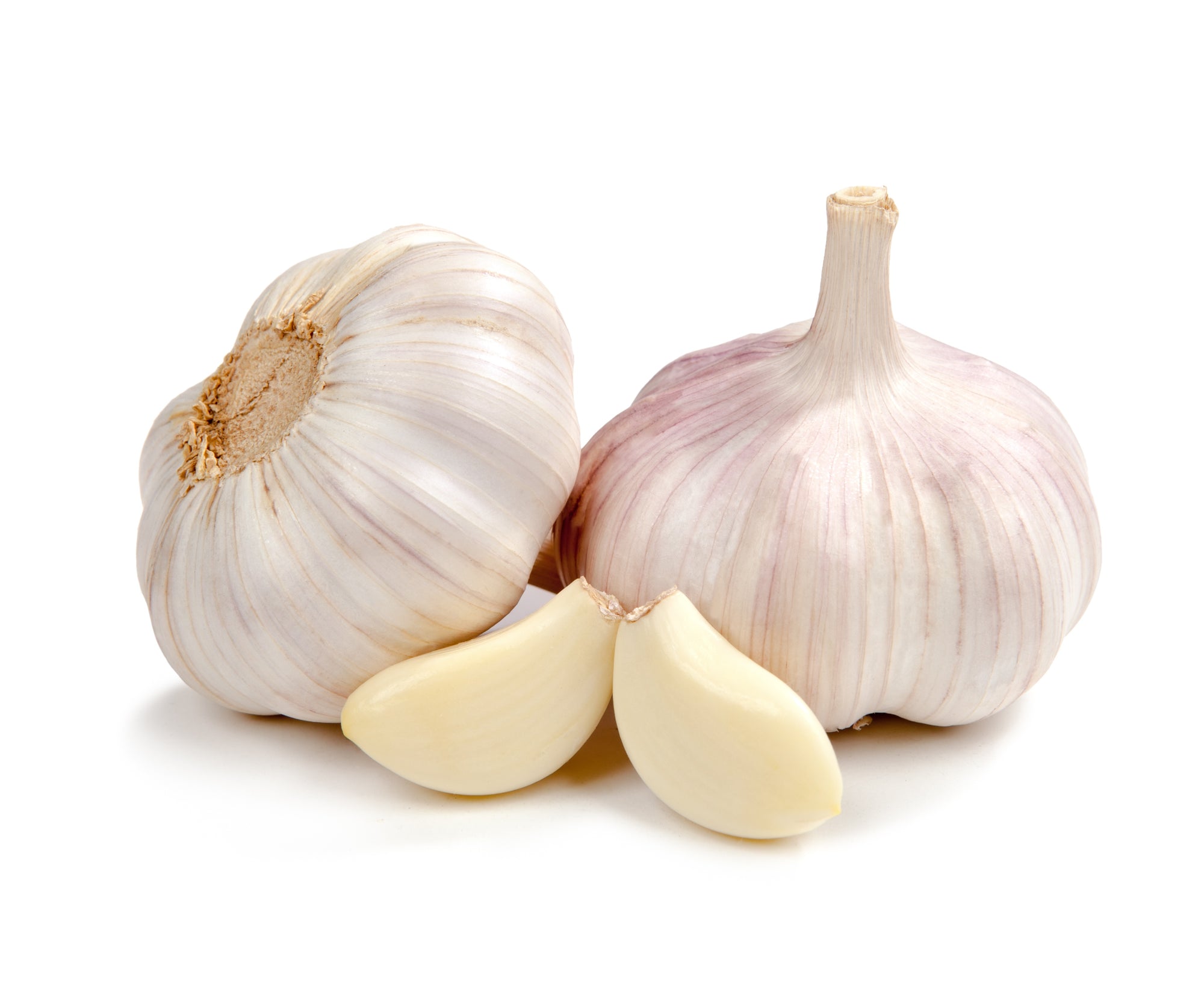 Garlic Bulb ea