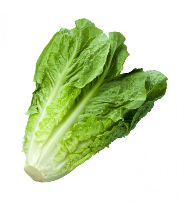 Romaine Head