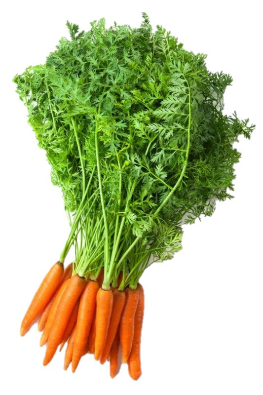 Carrots w/ Greens Bunch